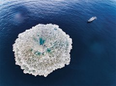 他带领攻关团队在作战指