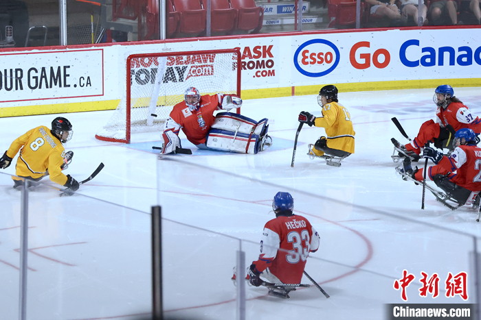 加拿大穆斯乔市残奥冰球